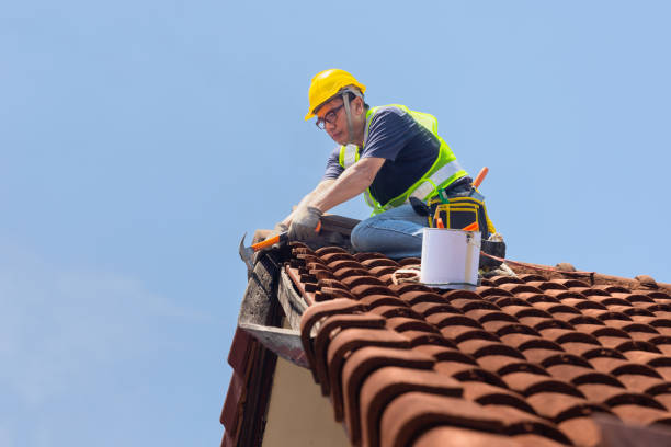 Best Roof Maintenance and Cleaning  in West Dennis, MA